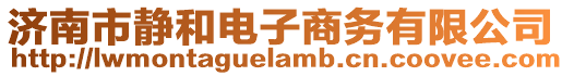 濟南市靜和電子商務(wù)有限公司