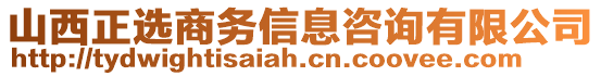 山西正選商務(wù)信息咨詢有限公司