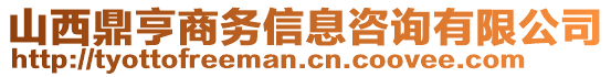 山西鼎亨商務(wù)信息咨詢有限公司