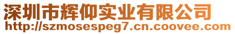 深圳市輝仰實業(yè)有限公司