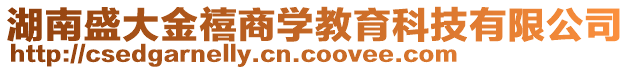 湖南盛大金禧商學(xué)教育科技有限公司