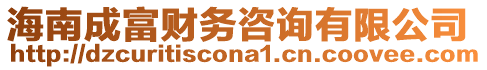 海南成富財務(wù)咨詢有限公司