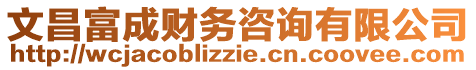 文昌富成財(cái)務(wù)咨詢有限公司