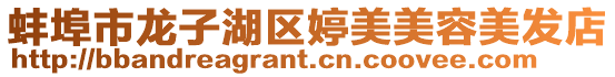 蚌埠市龍子湖區婷美美容美發店