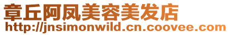 章丘阿鳳美容美發店