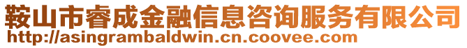 鞍山市睿成金融信息咨詢服務有限公司