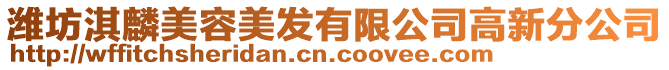 濰坊淇麟美容美發有限公司高新分公司