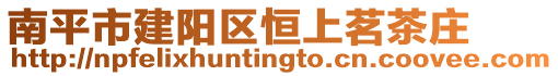 南平市建陽區恒上茗茶莊