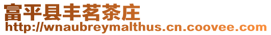 富平縣豐茗茶莊