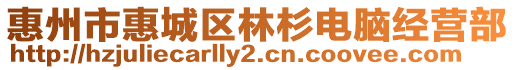 惠州市惠城區林杉電腦經營部