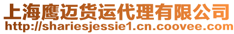 上海鷹邁貨運代理有限公司