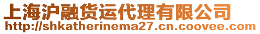 上海滬融貨運(yùn)代理有限公司