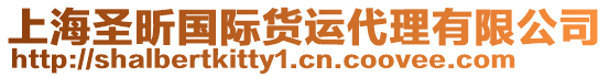 上海圣昕國際貨運代理有限公司
