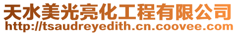 天水美光亮化工程有限公司