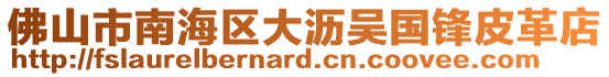 佛山市南海區大瀝吳國鋒皮革店