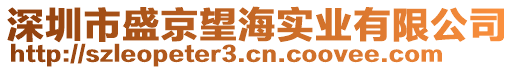 深圳市盛京望海實業有限公司