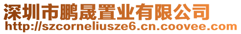 深圳市鵬晟置業(yè)有限公司