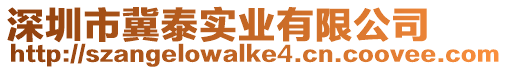 深圳市冀泰實業有限公司