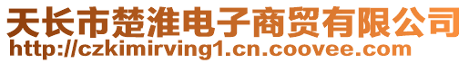 天长市楚淮电子商贸有限公司