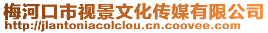 梅河口市視景文化傳媒有限公司