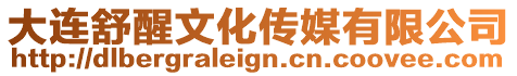 大連舒醒文化傳媒有限公司