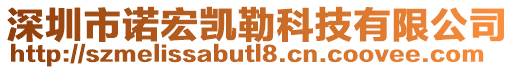 深圳市諾宏凱勒科技有限公司