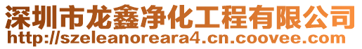 深圳市龍鑫凈化工程有限公司