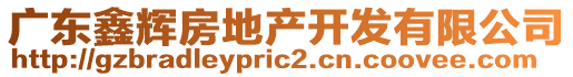 廣東鑫輝房地產(chǎn)開(kāi)發(fā)有限公司