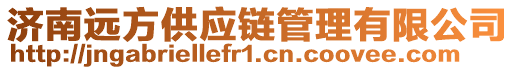 濟(jì)南遠(yuǎn)方供應(yīng)鏈管理有限公司