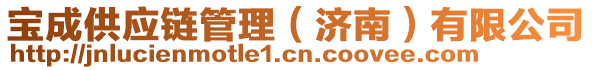 寶成供應(yīng)鏈管理（濟(jì)南）有限公司