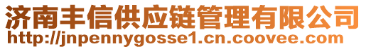 濟(jì)南豐信供應(yīng)鏈管理有限公司