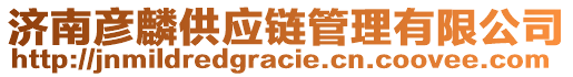 濟南彥麟供應(yīng)鏈管理有限公司