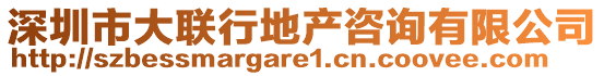 深圳市大聯(lián)行地產(chǎn)咨詢有限公司