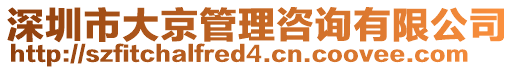 深圳市大京管理咨詢有限公司