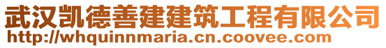 武漢凱德善建建筑工程有限公司