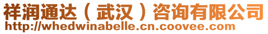 祥潤通達（武漢）咨詢有限公司