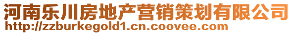河南樂川房地產營銷策劃有限公司