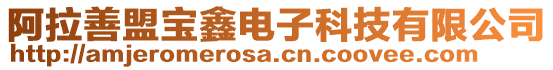 阿拉善盟寶鑫電子科技有限公司