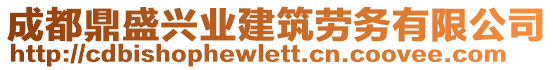 成都鼎盛興業(yè)建筑勞務(wù)有限公司