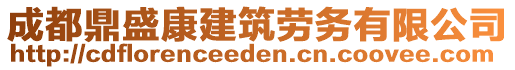 成都鼎盛康建筑勞務(wù)有限公司