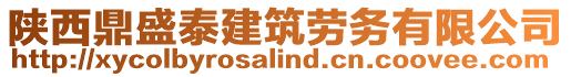 陜西鼎盛泰建筑勞務有限公司