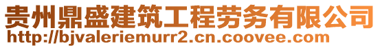 貴州鼎盛建筑工程勞務有限公司