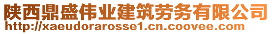 陜西鼎盛偉業(yè)建筑勞務(wù)有限公司