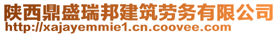 陜西鼎盛瑞邦建筑勞務(wù)有限公司