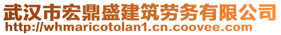 武漢市宏鼎盛建筑勞務(wù)有限公司