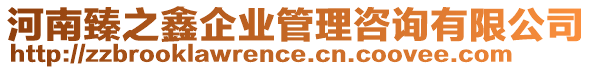 河南臻之鑫企業(yè)管理咨詢有限公司