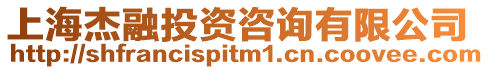 上海杰融投資咨詢有限公司