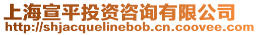 上海宣平投資咨詢有限公司