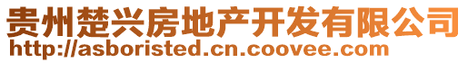 貴州楚興房地產(chǎn)開發(fā)有限公司