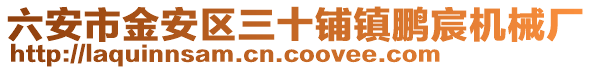 六安市金安區(qū)三十鋪鎮(zhèn)鵬宸機(jī)械廠